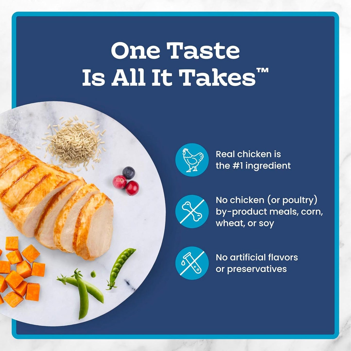 Sensitive Stomach Natural Adult Dry Cat Food, Chicken & Brown Rice