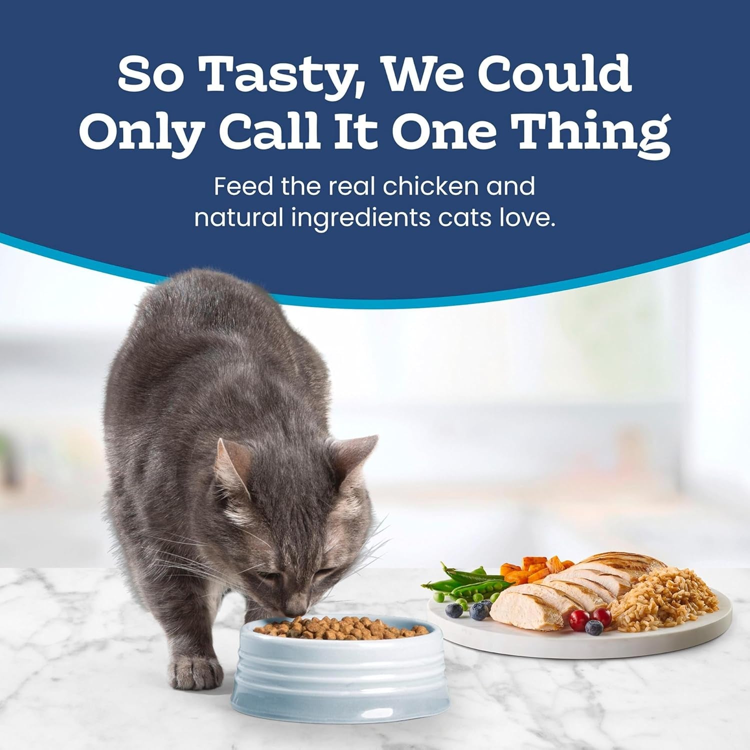 Sensitive Stomach Natural Adult Dry Cat Food, Chicken & Brown Rice