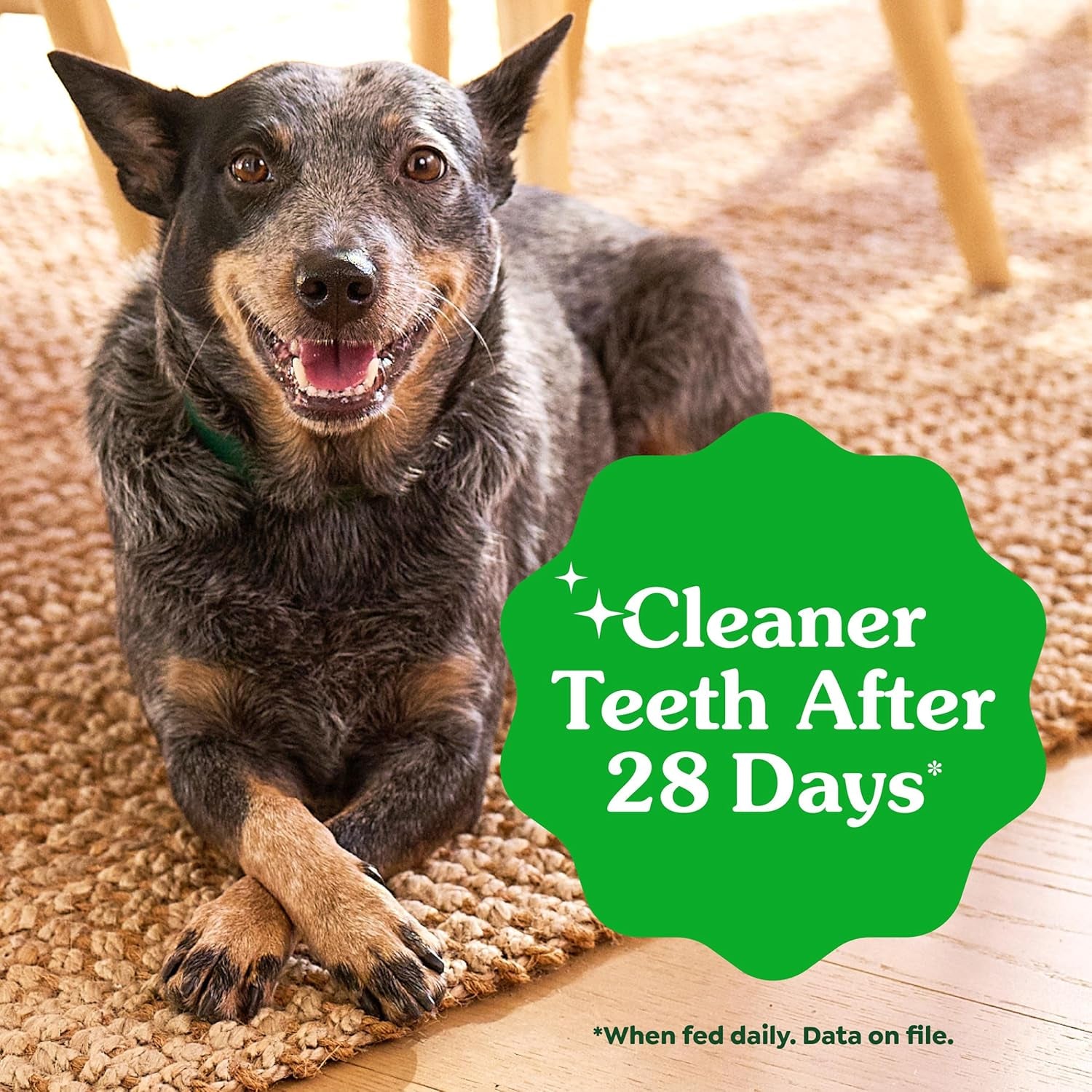 Original Large Dog Natural Dental Treats (50 -100 Lb. Dogs)