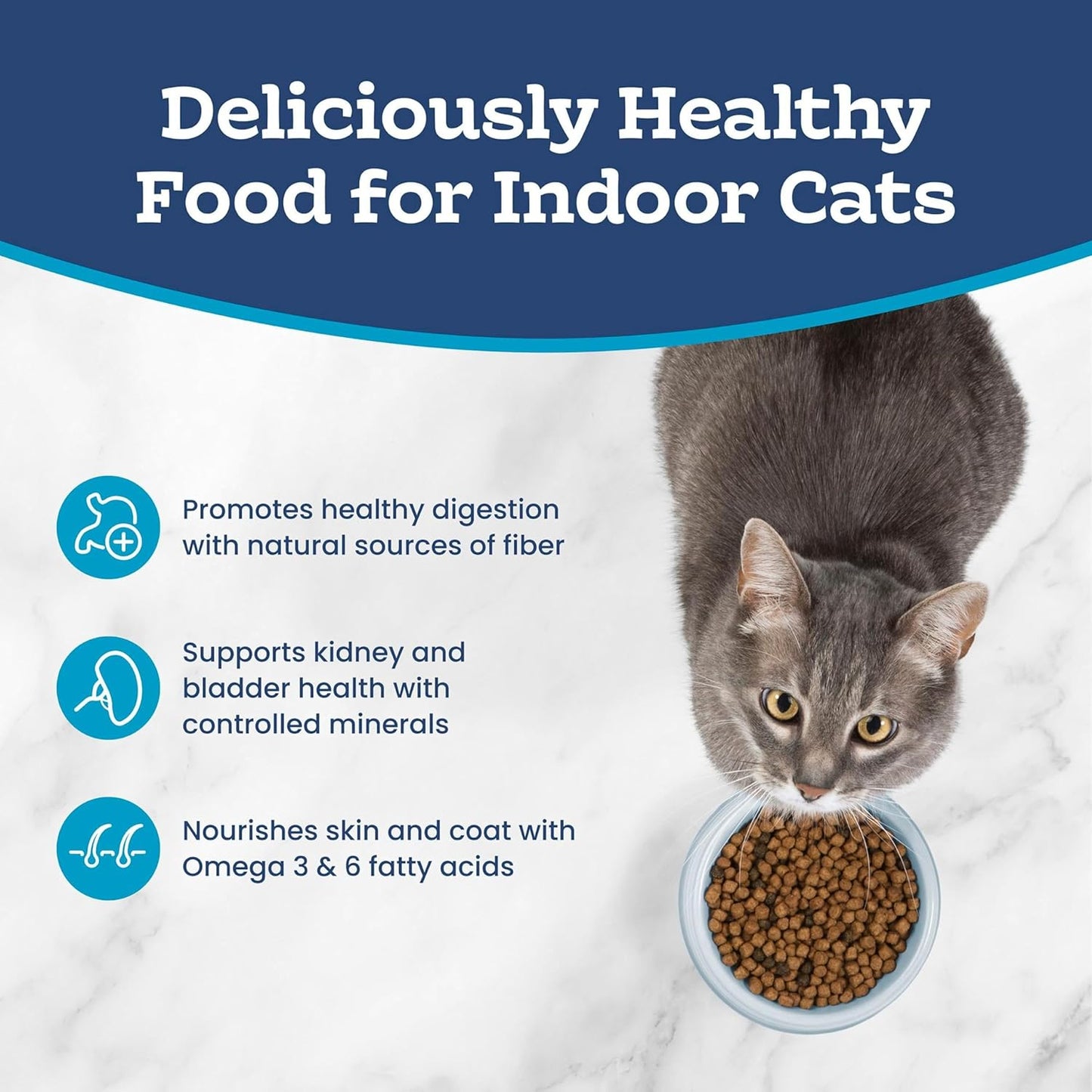 Sensitive Stomach Natural Adult Dry Cat Food, Chicken & Brown Rice